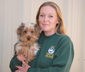 Shelter worker with rescued dog Monterey County SPCA rescues dogs
