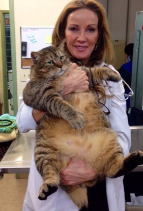 weight loss challenge